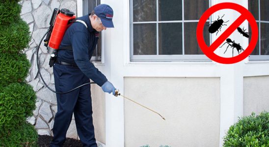 Karpuzlu Böcek İlaçlama böcek ilaçlama ve haşere kontrolü — ilaclama-tr.com